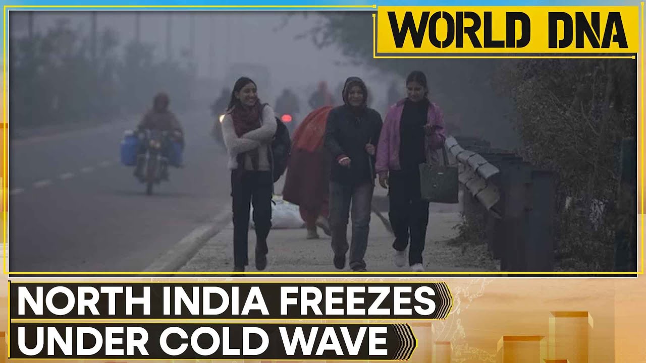 India: Dense Fog Grips Delhi, Blankets Several Cities; Heavy Rains Likely in South India | World DNA
