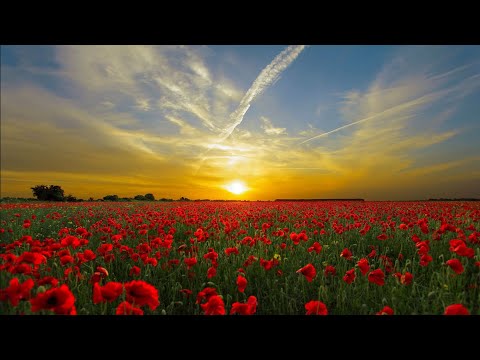 Gaby Rückert - So ging noch nie die Sonne auf