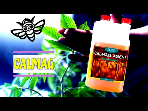 Canna CalMag  🌴 Erklärt 🌷#27