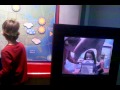 Accu Weather Forecast From The Elmo Zoo