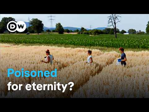 Toxic and Tenacious: How Forever Chemicals Are Damaging Our Health