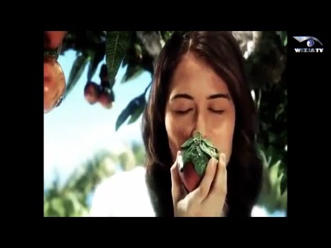 Video thumbnail for San Salvador