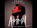 Conor Maynard - Don't You Worry Child ...