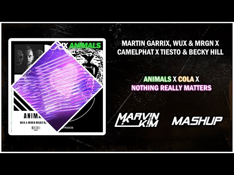 Martin Garrix X Camelphat X Tiesto & Becky Hill - Animals X Cola X Nothing Really Matters