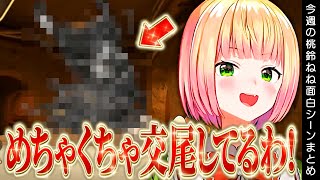 【3月5週目】今週の桃鈴ねね面白シーンまとめ【桃鈴ねね 兎田ぺこら さくらみこ 白上フブキ ロボ子 アキ・ローゼンタール 尾丸ポルカ 雪花ラミィ 獅白ぼたん ホロライブ 切り抜き動画】ねねち最強伝説