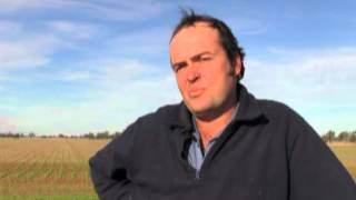 preview picture of video 'Over the Fence: Trangie's 'perfect summer' for sorghum - Aug 2012'