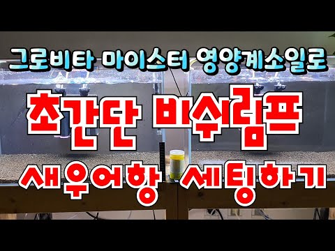초간단새우어항세팅 그로비타 마이스터 영양계소일로 비쉬림프 새우항세팅하기!