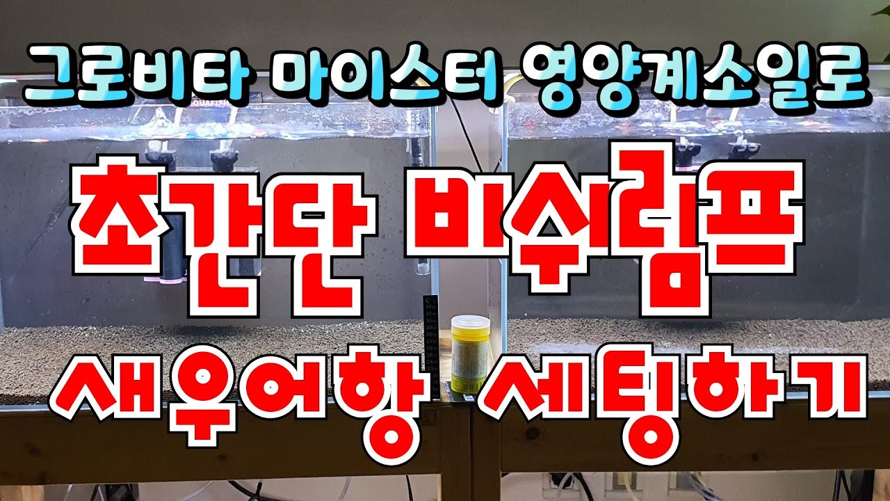초간단새우어항세팅 그로비타 마이스터 영양계소일로 비쉬림프 새우항세팅하기!