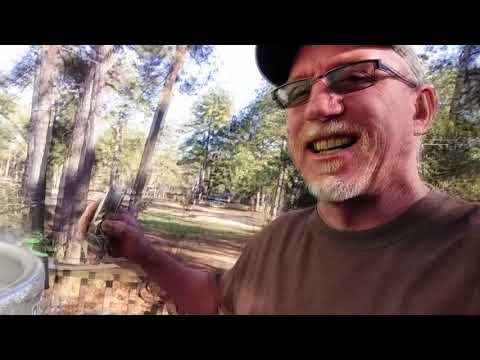 HBW #49  -  "American IPA"  (BREWDAY)