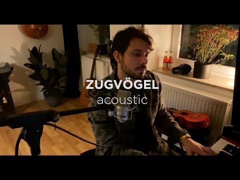 Robert Redweik - Zugvögel (acoustic @ Home)