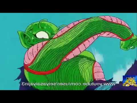 DBZ Don't Let Me Down/Budokai Tenkaichi AMV (fixed mirror)