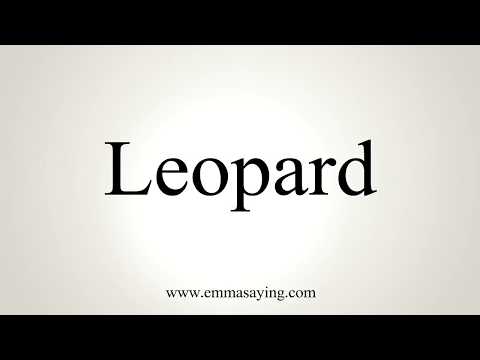 How To Pronounce Leopard