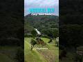 Best Resorts In Ooty Budget Friendly Resorts In Ooty Ooty Stay For Couples Ooty Staycation