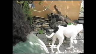 NE-HI - Buried On The Moon