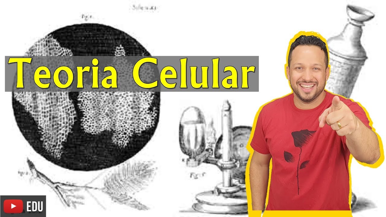 Teoria Celular - Introdução à Citologia - Biologia Celular