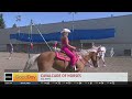 Cavalcade Of Horses At The State Fair