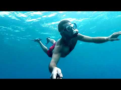 Eklo - You Need Love (Erlando Remix) (Music Video)