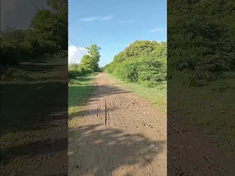 Llegando a Quemado de Guines por el Jardín