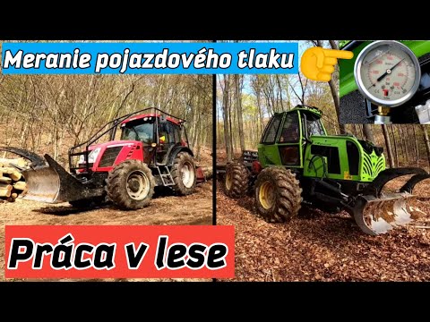Hrubšie buky + kontrola tlaku pojazdového čerpadla, Ťažba dreva, Zetor Proxima, Orvex, Stihl ms 500i
