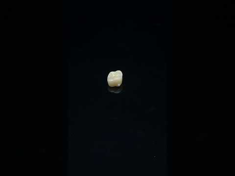 YouTube 썸네일
