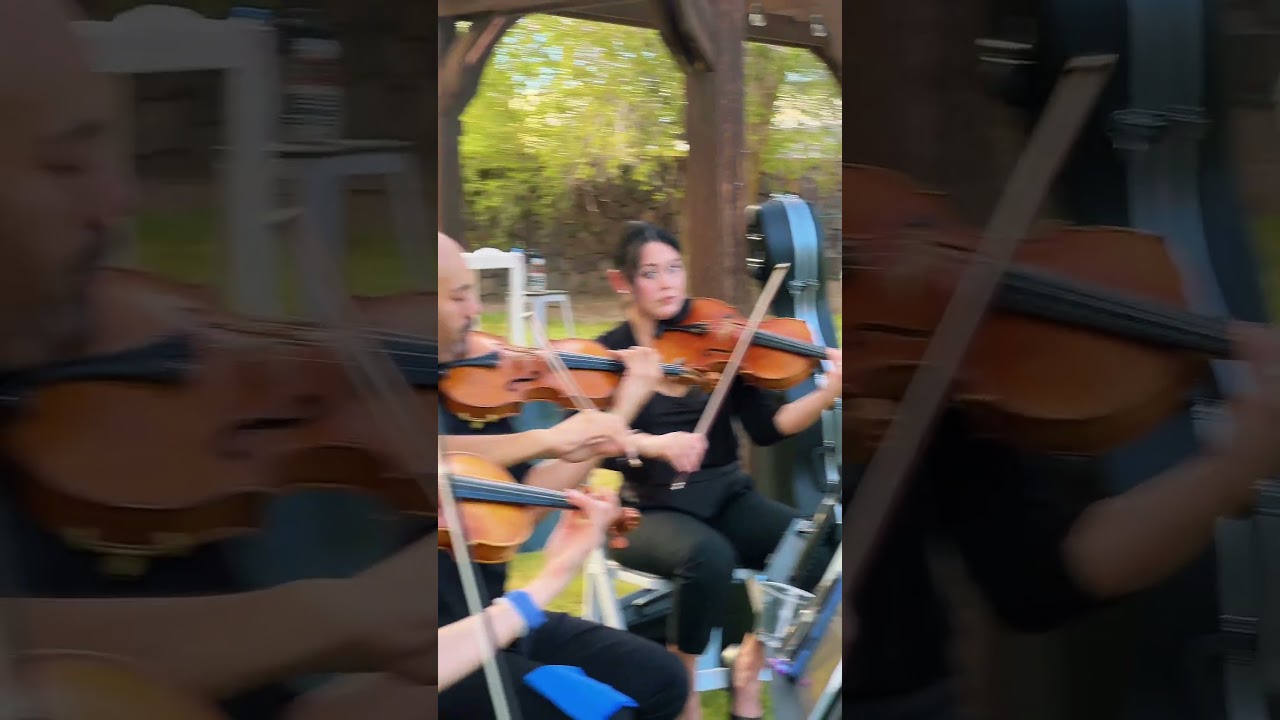 Promotional video thumbnail 2 for Four Bridges Strings