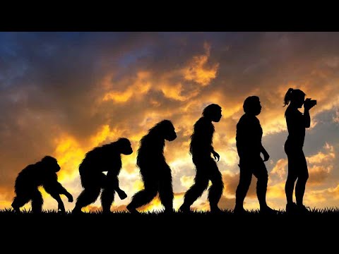 Telmo Pievani - Il GRANDE RACCONTO dell'EVOLUZIONE