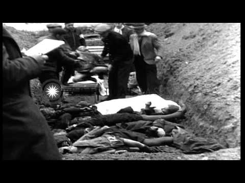Watch Kampfgruppe Peiper executed 130 Belgian civilians on YouTube