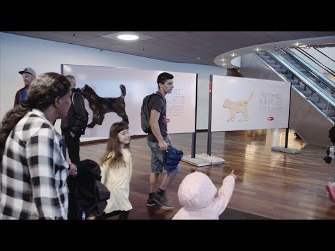 ⁣An Adoptive Gesture