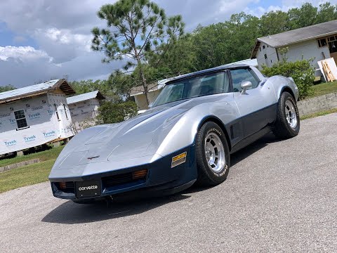 1981 Chevrolet Corvette (CC-1394175) for sale in Palmetto, Florida