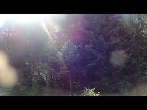 Train Historic#17.3 IG Dreiseenbahn/ MEG V 70.01 + Donnerbüchse/ Titisee - Seebrugg ( 3/5 )