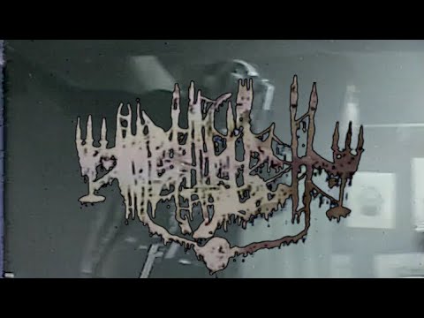 NÄCHTLICH Live in Long Beach, CA 2-3-24