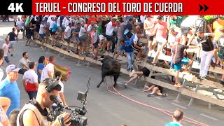CONGRESO NACIONAL DEL TORO DE CUERDA 🔴 🟠 🟡 🟢 TERUEL 2022 ▶ MEJORES MOMENTOS