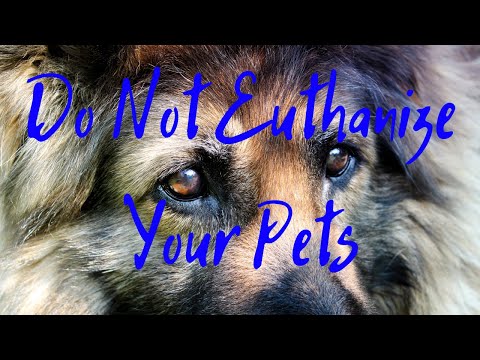 Do Not Euthanize Your Pets!