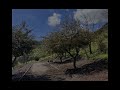 Tour Virtual