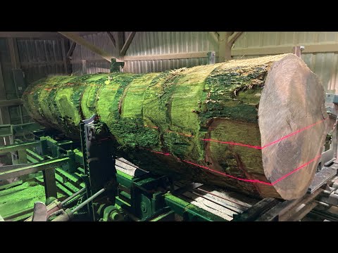 Start to Finish!! Sawing a 34 inch diameter log