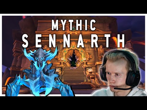 Mythic Sennarth | Vault of Incarnates | Prot Warrior PoV | Echo Meeres