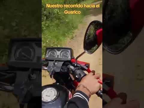 Nuestro recorrido hacia el Guarico