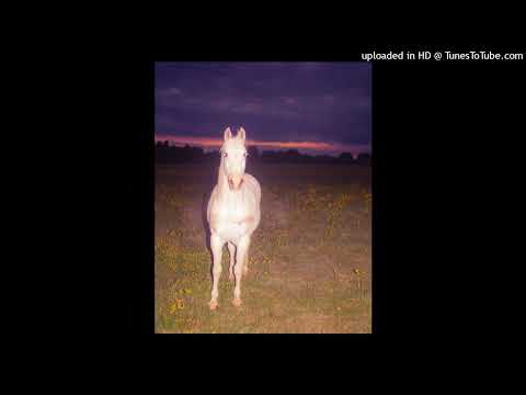 *free* 15drtt + che + tana + xtsy type beat (ig- @15drtt)