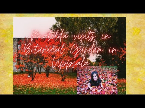 Matilda visits in Botanical Garden in Uppsala during Autumn Season