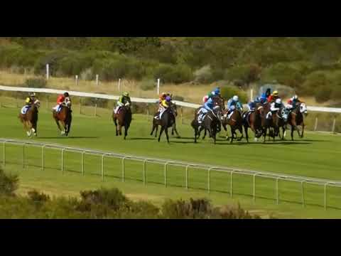 BOHICA - 2022 Cape Flying Championship (Gr1)