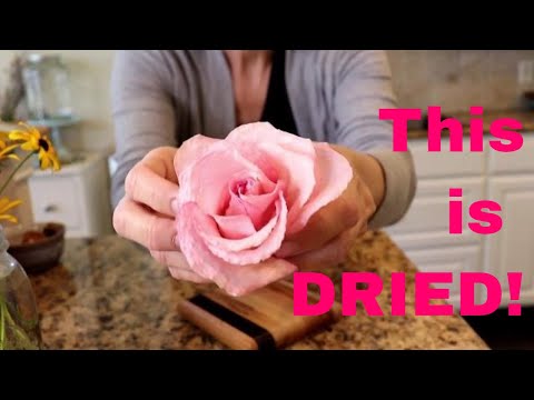 image-What to put on roses to preserve them?