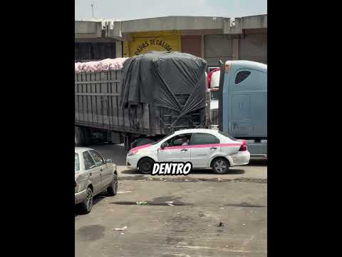 ¿EL MEJOR OPERADOR DE MÉXICO? Así Acomodó un Freightliner de 48 TONELADAS