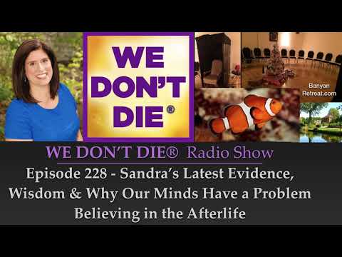 Episode 228 - Why Our Minds Don't Want Us to Believe in the Afterlife
