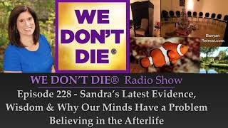Episode 228 - Why Our Minds Don't Want Us to Believe in the Afterlife