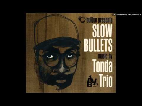 Tonda trio - Twisted in the moonset