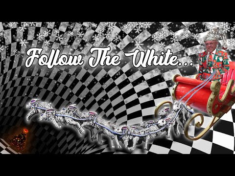 Kaninjakten intensifieras - Carl Norberg 2022-12-23