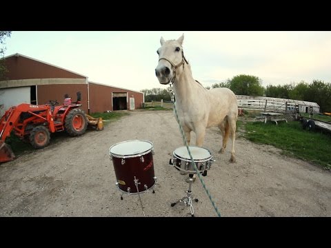 Making of "Battery" banjo cover Video