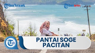 Melihat Pesona Keindahan Pantai Soge di Pacitan yang Bisa Dilihat dari Tepi Jalan Raya