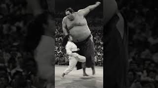 sumo vs