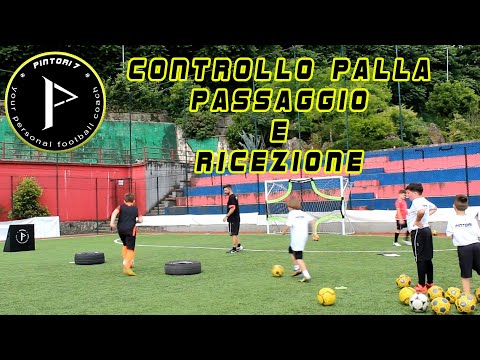 Controllo palla, passaggio e ricezione